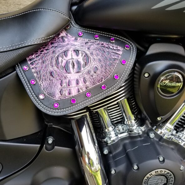 A close up of the engine cover on a motorcycle