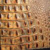 A close up of the leather surface of an alligator skin.