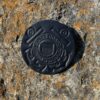 A close up of the coast guard seal on a rock.