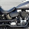 Harley heat shield with dragonfly embossing