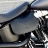 Harley heat shield with dragonfly embossing